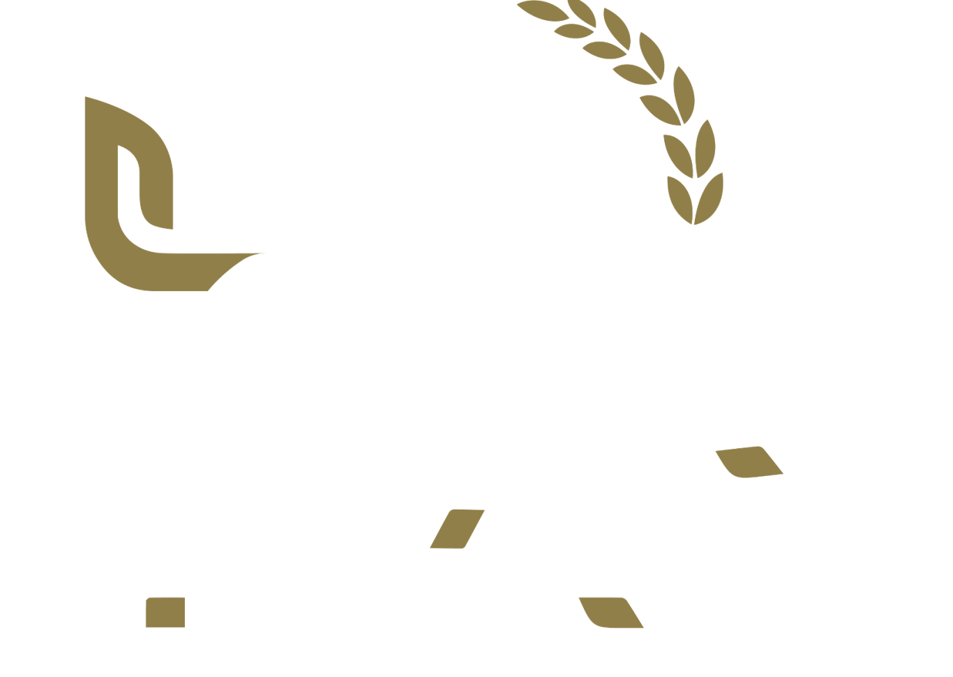 Logo Dr. Matthias Pfaff