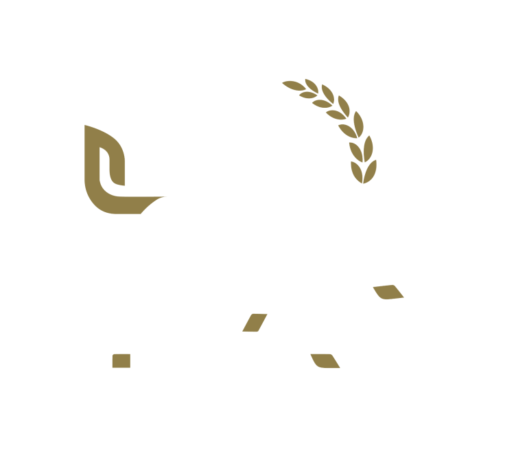 Logo Dr. Matthias Pfaff